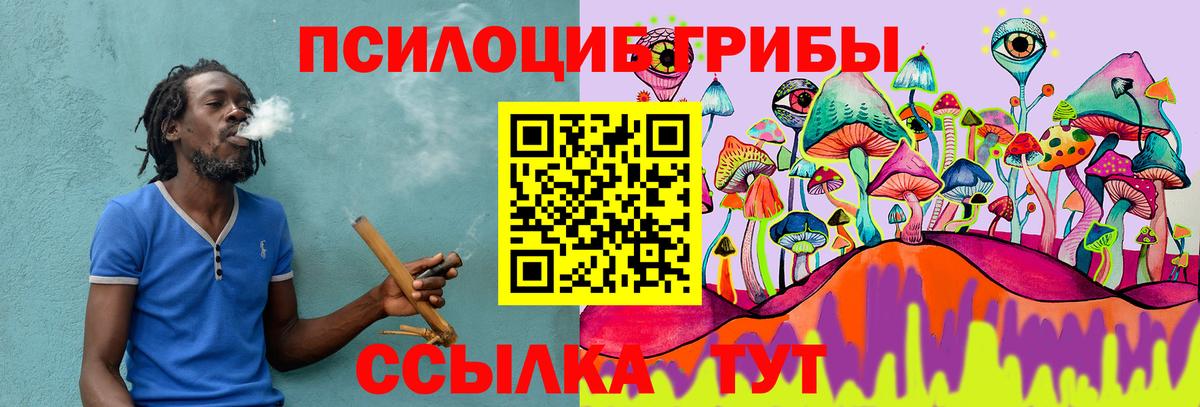 Псилоцибиновые грибы GOLDEN TEACHER  Вход с VPN  Видное  Псилоцибиновые грибы Psilocybine cubensis 